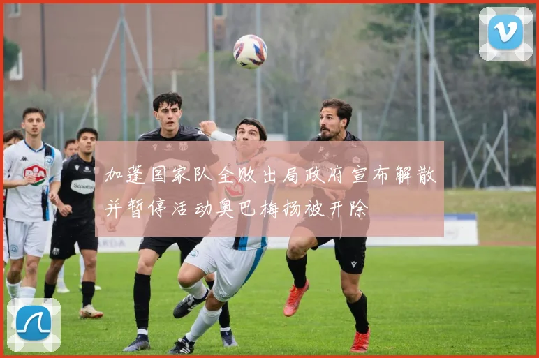 加蓬国家队全败出局政府宣布解散并暂停活动奥巴梅扬被开除