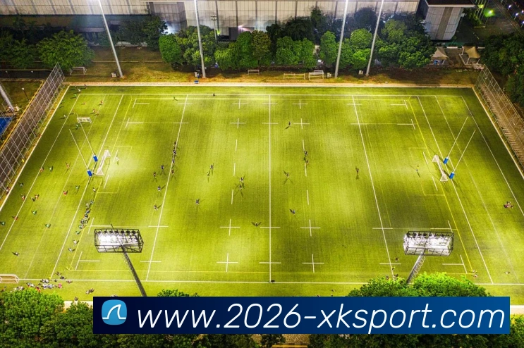 星空体育发展历程